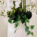 Orchid Artificial Potted Plant H150Cm- White Pan Home
