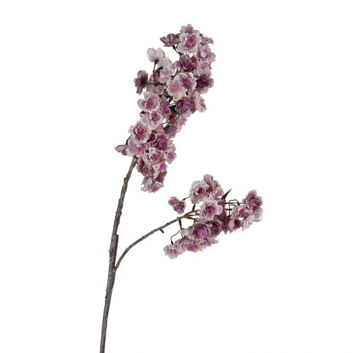 Oriental Cherry With 2 Branches Bunch H103Cm - Purple