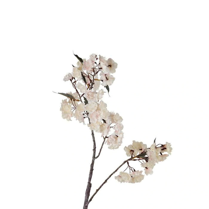 Oriental Cherry With 2 Branches Bunch H103Cm - White