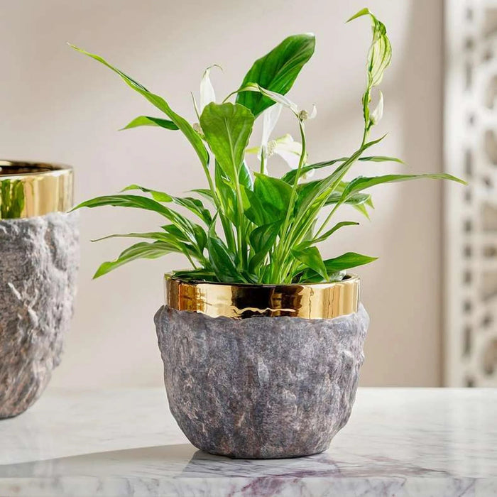 Oro Ceramic Planter 16.5X16.5X13.5Cm - Brown Pan Home
