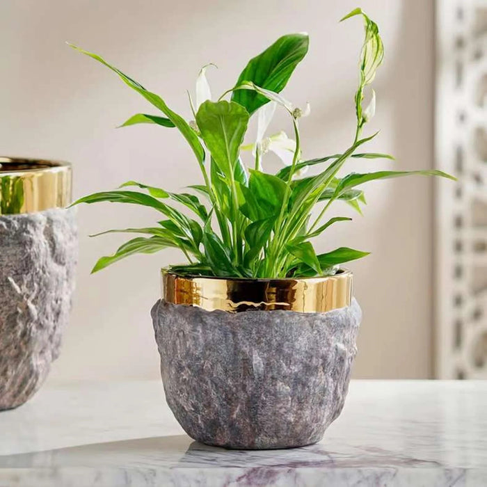Oro Ceramic Planter 16.5X16.5X13.5Cm - Brown Pan Home