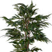 Pacific Ficus Tree Green H180Cm Pan Home