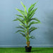 Palm Tree Green H120Cm Pan Home