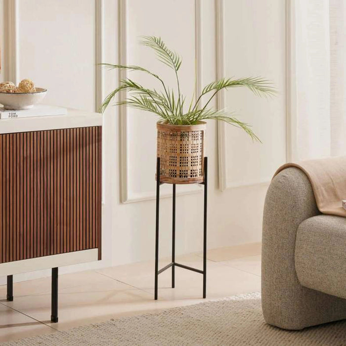 Palm Tree Green Pan Home