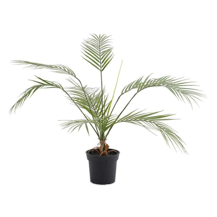 Palm Tree Green Pan Home