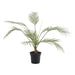 Palm Tree Green Pan Home