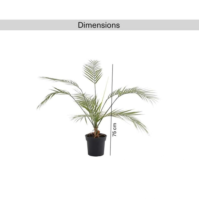 Palm Tree Green Pan Home