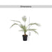 Palm Tree Green Pan Home
