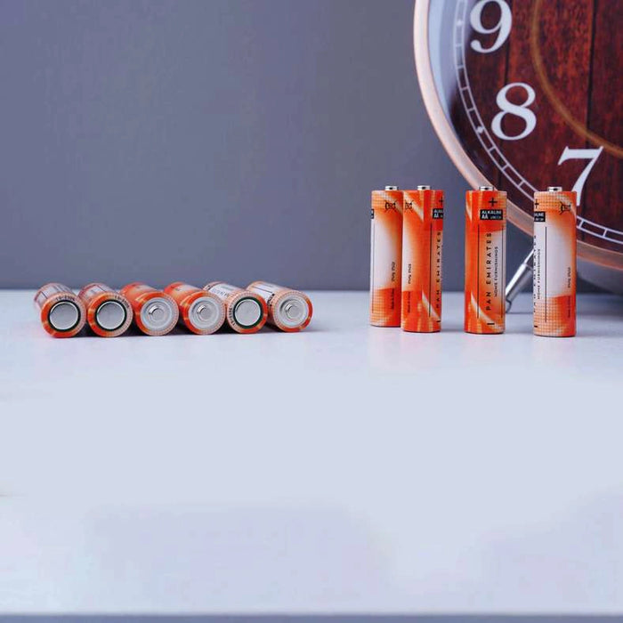 Pan 10-Pieces Alkaline Battery Aa Pan Home
