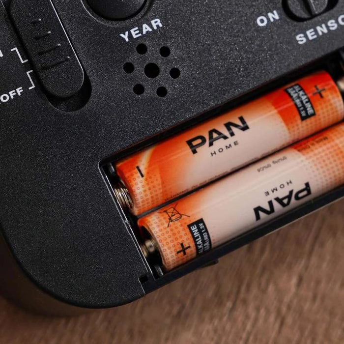 Pan 30-Pieces Alkaline Battery Aa