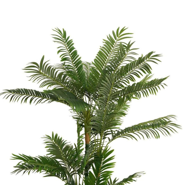 Parlour Palm Tree Green H180Cm Pan Home