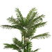 Parlour Palm Tree Green H180Cm Pan Home