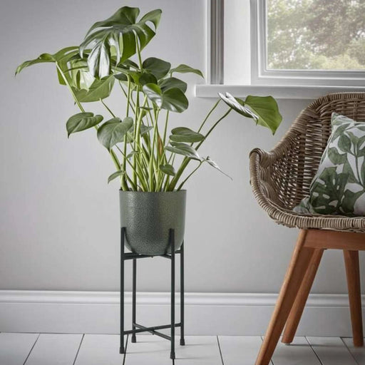 Parsley Metal Textured  Planter With Stand 19X19X45Cm - Black Pan Home