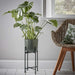 Parsley Metal Textured  Planter With Stand 19X19X45Cm - Black Pan Home