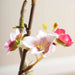 Peach  Blossom Artificial Plant In Pot H60Cm - Pink Pan Home