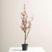 Peach  Blossom Artificial Plant In Pot H60Cm - Pink Pan Home