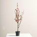 Peach  Blossom Artificial Plant In Pot H60Cm - Pink Pan Home