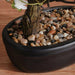 Peach Blossom With Ceramic Pot H34Cm - White Pan Home