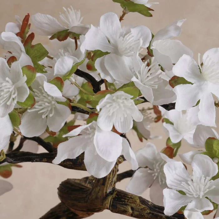 Peach Blossom With Ceramic Pot H34Cm - White Pan Home