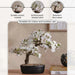 Peach Blossom With Ceramic Pot H34Cm - White Pan Home