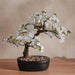 Peach Blossom With Ceramic Pot H34Cm - White Pan Home