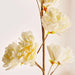 Pear Blossom Artificial Stem Flower H107Cm - Cream Pan Home