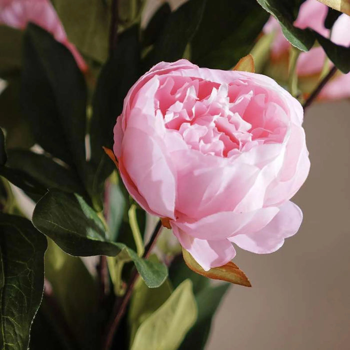 Peony Artificial Flowers And Buds Bunch 42X37X58Cm - Pink