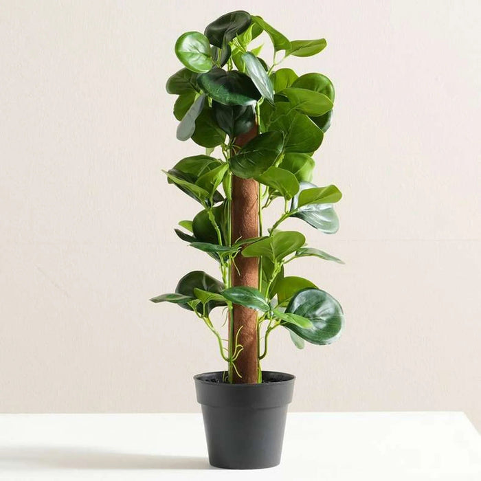 Peperomia Tetraphylla Artificial Bonsai Plant H40Cm - Green Pan Home