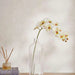 Phalaenopsis Artificial Orchid Stem Flower H90Cm - White Pan Home