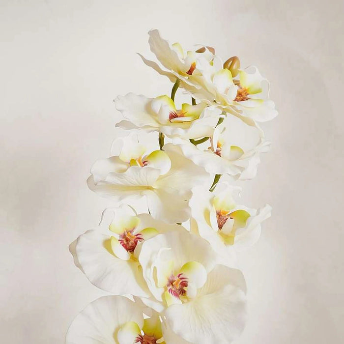 Phalaenopsis Artificial Orchid Stem Flower H90Cm - White Pan Home