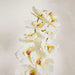 Phalaenopsis Artificial Orchid Stem Flower H90Cm - White Pan Home