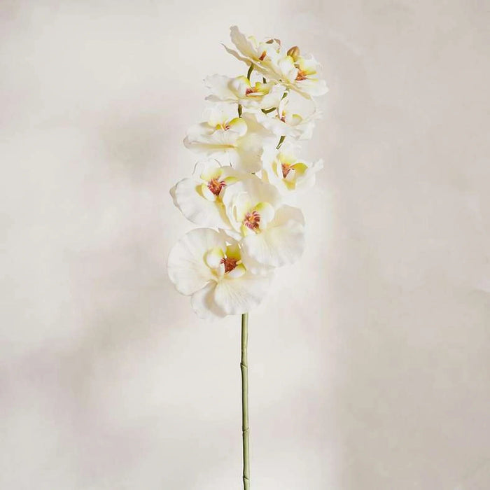 Phalaenopsis Artificial Orchid Stem Flower H90Cm - White Pan Home