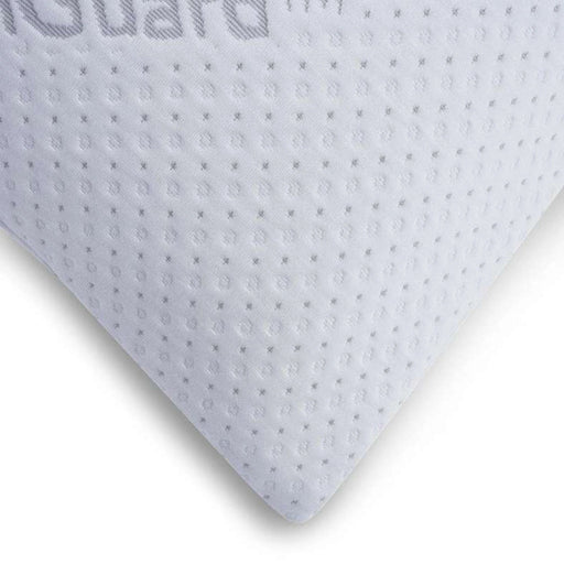 Protection Healthguard Memory Foam Pillow -White Pan Home
