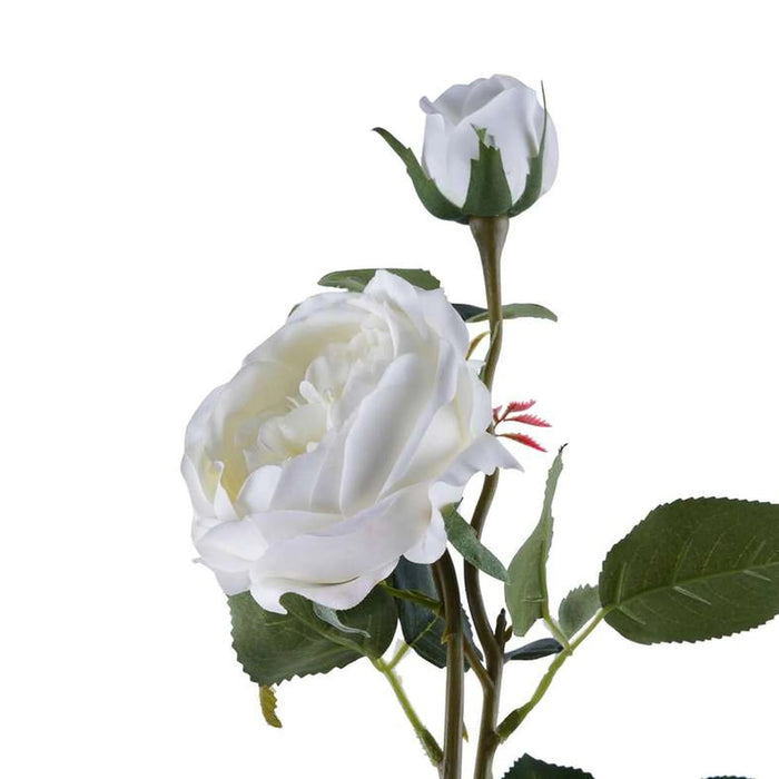 Real Touch 2 Head Rose Flower Stick 68Cm - White Pan Home