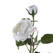Real Touch 2 Head Rose Flower Stick 68Cm - White Pan Home