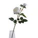 Real Touch 2 Head Rose Flower Stick 68Cm - White Pan Home