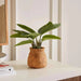 Real Touch Mini Banana Tree H40Cm Pan Home
