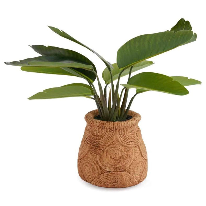 Real Touch Mini Banana Tree H40Cm Pan Home