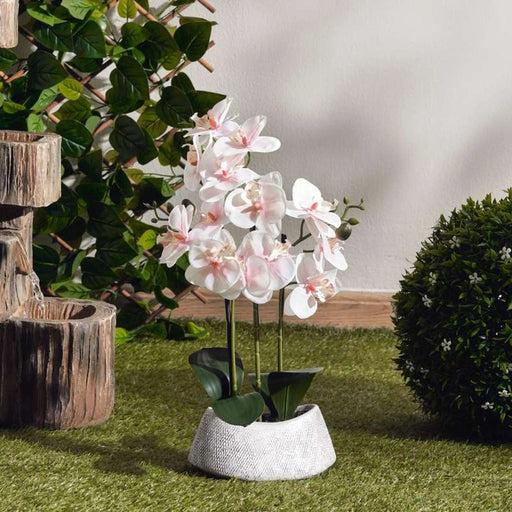 Real Touch Orchid Flower In Ceramic Pot H42Cm - Pink Pan Home