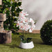 Real Touch Orchid Flower In Ceramic Pot H42Cm - Pink Pan Home