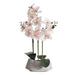 Real Touch Orchid Flower In Ceramic Pot H42Cm - Pink Pan Home