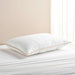 Refresh Antibacterial Pillow - White Pan Home
