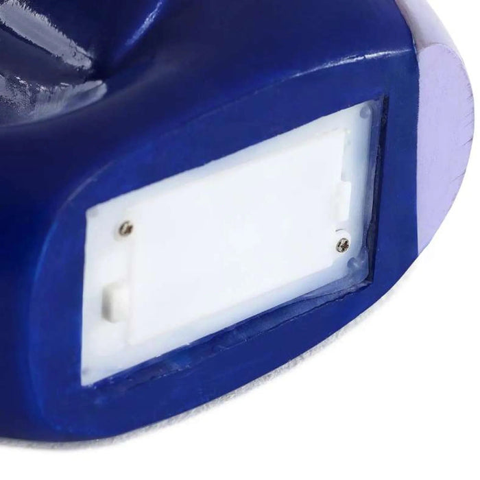 Rio Resin Parrot With Led Light 20X10X25Cm - Blue Pan Home
