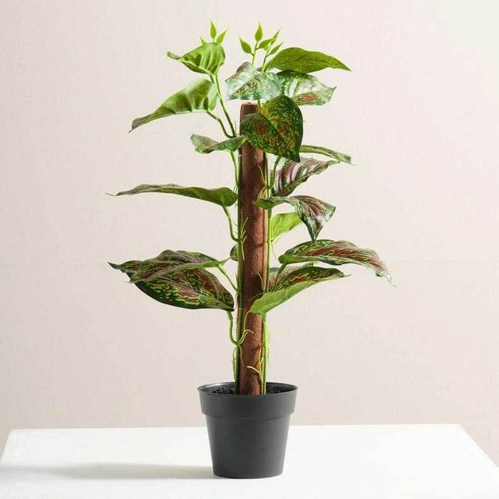 Rohdea Japonica Artificial Bonsai Plant H40cm - Green Pan Home