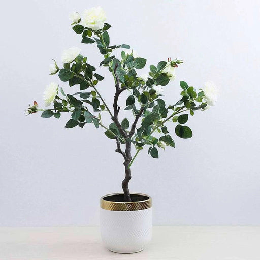 Rose Tree White 122Cm Pan Home