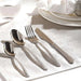 Rylee 24-Piece Cutlery Set -Chrome Pan Home