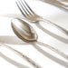 Rylee 24-Piece Cutlery Set -Chrome Pan Home