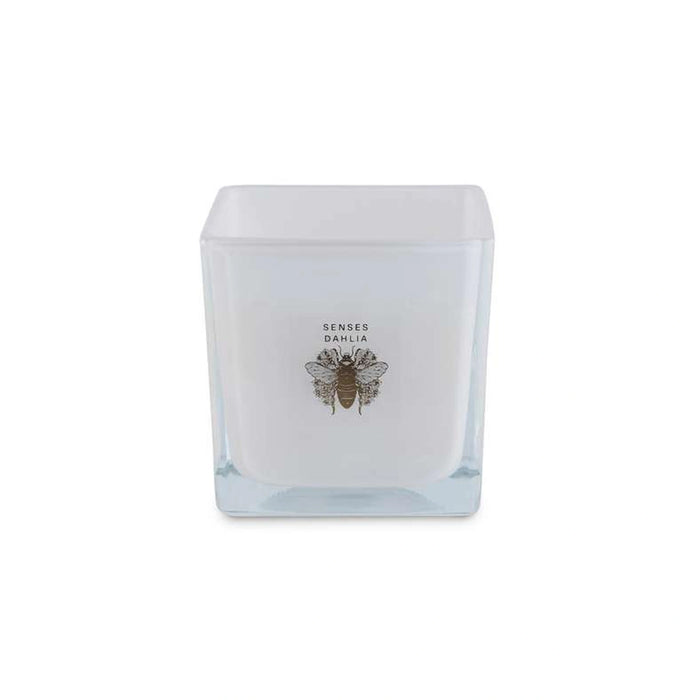 Senses Dahlia Scented Jar Candle 220Gm - White - 28 Hrs