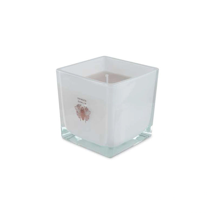 Senses Dahlia Scented Jar Candle 220Gm - White - 28 Hrs