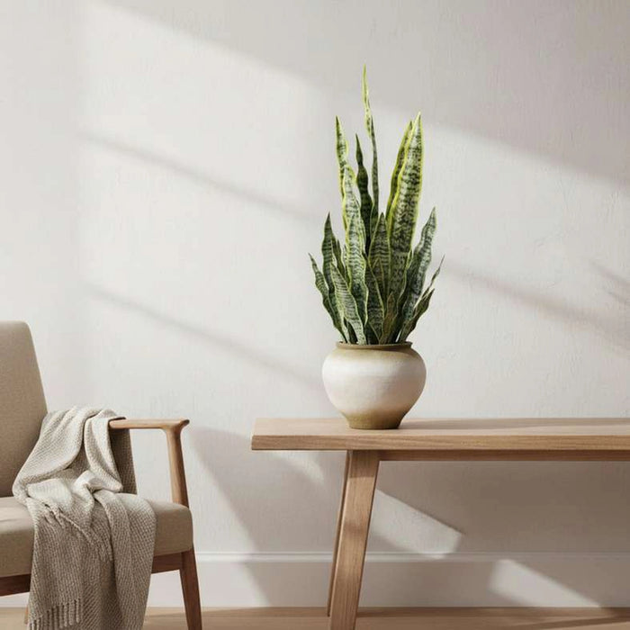 Snake Artificial Plant In Ceramic Pot H109Cm - Green